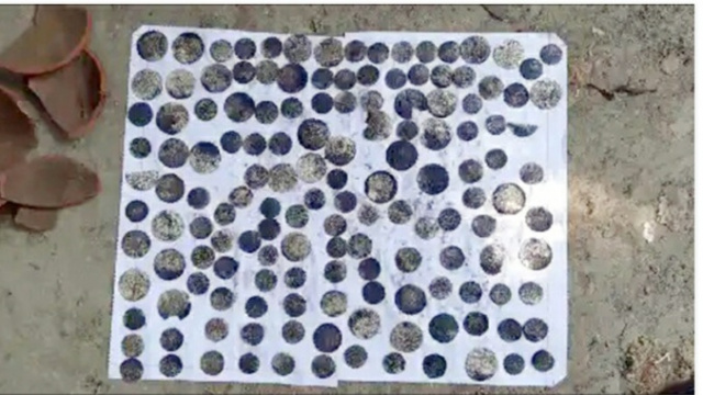 মাটি খুঁড়তে মিলল ব্যাংকভর্তি ধাতব মুদ্রা