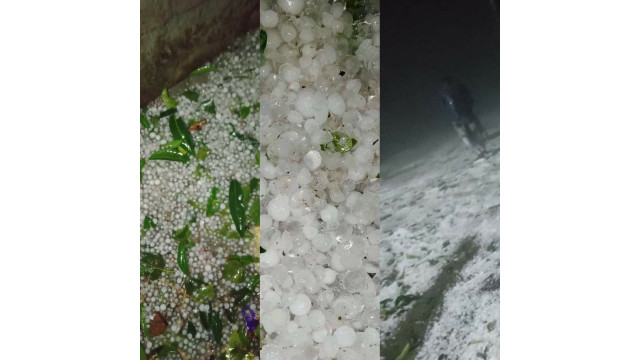 চাঁপাইনবাবগঞ্জে পৌষ মাসের শীতকালে ব্যাপক বৃষ্টি ঝড় ও শিলা বৃষ্টি- ফসলের ক্ষতি