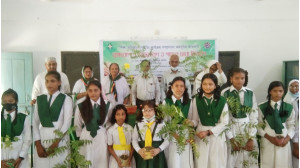 চাঁপাইনবাবগঞ্জে বৃক্ষরোপণে উদ্বুদ্ধকরণ ও গাছের চারা বিতরণ 
