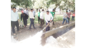 ডেঙ্গু রোগ প্রতিরোধে মশক নিধন ও পরিষ্কার পরিচ্ছন্নতা অভিযান শুরু