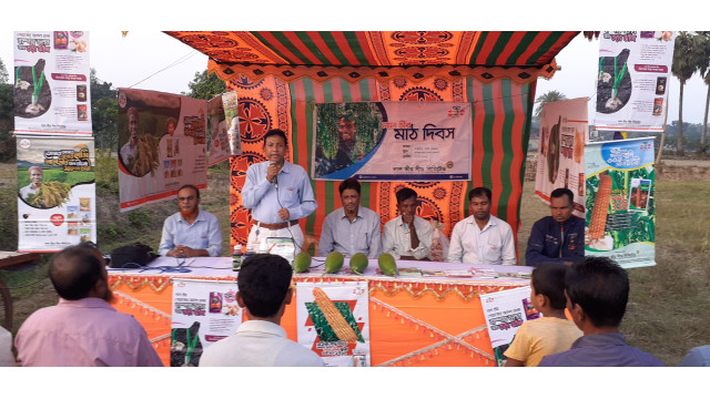 বাজারে আলোড়ন সৃষ্টি করেছে লালতীর সীড লিমিটেডের হাইব্রিড লাউ ডায়না