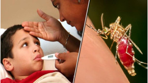 চাঁপাইনবাবগঞ্জ ২৫০ শয্যাবিশিষ্ট জেলা হাসপাতালে বর্তমানে ডেঙ্গু রোগী ভর্তি ৫৭ জন 