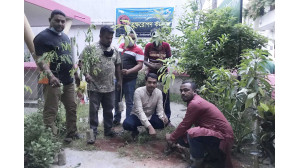 চাঁপাইনবাবগঞ্জ সদর উপজেলা কৃষকলীগের বৃক্ষরোপন ও গাছের চারা বিতরণ 