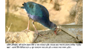 ওটিটিতে মুক্তি পেলো প্রাচ্য পলাশের প্রামাণ্য চলচ্চিত্র ‘সমৃদ্ধির সম্ভার’