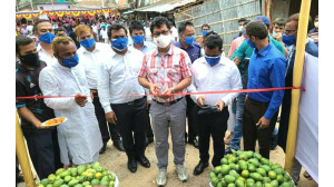 গোমস্তাপুরে আমপাড়া ও বাজারজাতকরণের উদ্বোধন 