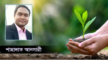 আম পরিবহন হোক নিরাপদ 