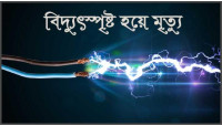 চাঁপাইনবাবগঞ্জে বিদ্যুৎস্পৃষ্ট হয়ে দুই ভাইয়ের মৃত্যু