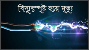 চাঁপাইনবাবগঞ্জে বিদ্যুৎস্পৃষ্ট হয়ে দুই ভাইয়ের মৃত্যু