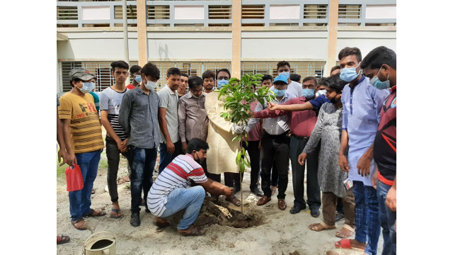 মুজিব বর্ষ উপলক্ষে ডা. গোলাম রাব্বানীর বৃক্ষরোপণ