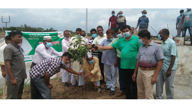 জাতীয় শোক দিবস উপলক্ষে চাঁপাইনবাবগঞ্জ পৌরসভার বৃক্ষরোপন