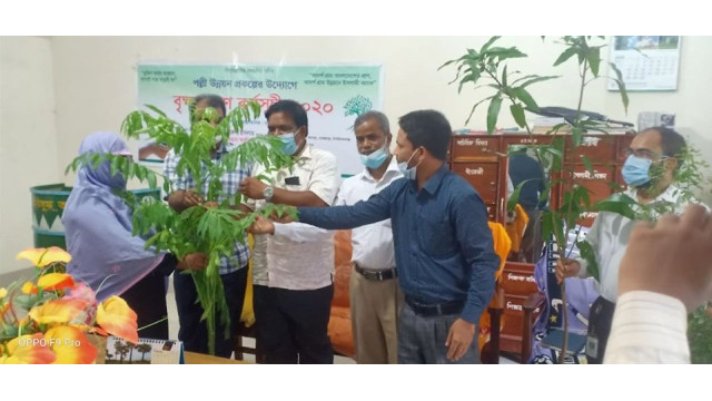 ইসলামী ব্যাংক রহনপুর শাখা পল্লী উন্নয়ন প্রকল্পের বৃক্ষরোপন