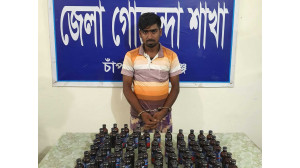 গোমস্তাপুরে  আলীনগর থেকে ডিবি পুলিশের অভিযানে  ফেনসিডিলসহ ১ যুবক গ্রেপ্তার 