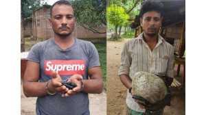 ডিবির অভিযানে ইয়াবা ও গাঁজাসহ আটক ২