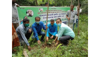 চাঁপাইনবাবগঞ্জ জেলা যুবলীগের বৃক্ষরোপন 