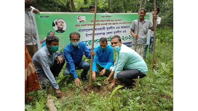 চাঁপাইনবাবগঞ্জ জেলা যুবলীগের বৃক্ষরোপন