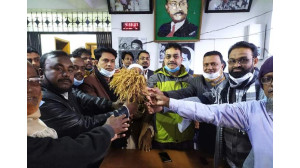 বারঘরিয়া ইউনিয়নে বিএনপি মনোনিত ধানের শীষের প্রার্থী কামরুজ্জামান টুটুল