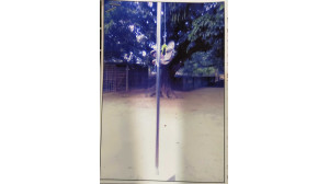 শ্যামপুর মাদরাসায় জাতীয় পতাকা অবমাননা করার অভিযোগ 