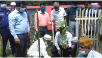 মুজিববর্ষ উপলক্ষে গোমস্তাপুরে বৃক্ষ রোপণ