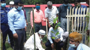 মুজিববর্ষ উপলক্ষে গোমস্তাপুরে বৃক্ষ রোপণ