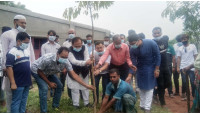 চাঁপাইনবাবগঞ্জে মুজিব বর্ষ উপলক্ষে মোখলেসুর রহমানের বৃক্ষরোপন