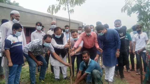 চাঁপাইনবাবগঞ্জে মুজিব বর্ষ উপলক্ষে মোখলেসুর রহমানের বৃক্ষরোপন