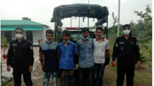 দ্বারিয়াপুর হাতাপাড়া থেকে ১৩ কেজি গাঁজাসহ ৪ জন আটক