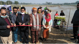 চাঁপাইনবাবগঞ্জে যন্ত্র দিয়ে বোরো ধানের চারা রোপণ শুরু