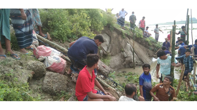 নামোরাজারামপুর মহানন্দা নদীতে ভাঙন, হুমকির মুখে গ্রামবাসীসহ অসংখ্য স্থাপনা