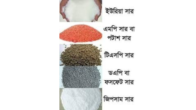 নাচোলে সিন্ডিকেটের মাধ্যমে চলছে অবৈধভাবে সার ক্রয় বিক্রয়