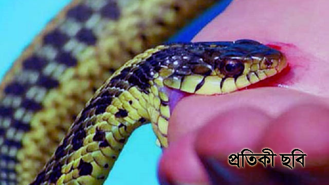 রহনপুরে সাপের কামড়ে ১জনের মৃত্যু