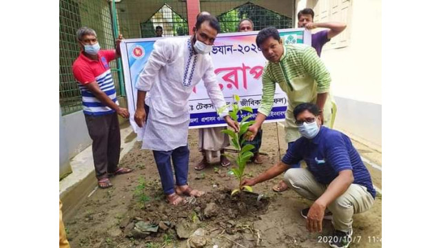 চাঁপাইনবাবগঞ্জে দেবীনগর ইউনিয়ন পরিষদ চত্ত্বরে বৃক্ষ রোপন
