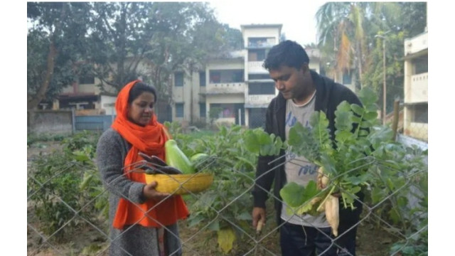 চাঁপাইনবাবগঞ্জ সদর উপজেলা ক্যাম্পাসেই শখের বাগান ইউএনও দম্পতির
