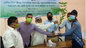 বঙ্গবন্ধুর জন্মশতবার্ষিকী উপলক্ষ্যে গোমস্তাপুরে চারা রোপণ কর্মসূচির উদ্বোধন