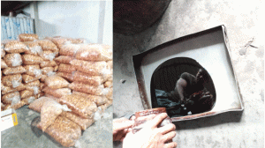 র‌হনপুরে র‌্যাবের অভিযান : ১লাখ ৩০হাজার টাকা জরিমানা