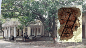 নাচোলে জীবনের ঝুঁকি নিয়ে কাজ করছের ৪টি দপ্তরের কর্মকর্তা কর্মচারিরা