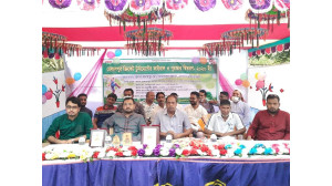 হেলালপুর ক্রিকেট টুর্ণামেন্টে আরিফ একাদশ চ্যাম্পিয়ন