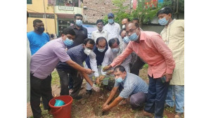 চাঁপাইনবাবগঞ্জে সদর উপজেলা আ.লীগের বৃক্ষরোপন কর্মসূচি