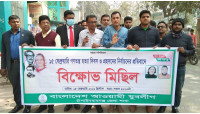 গণতন্ত্র হত্যা ও প্রহসনের নির্বাচনের প্রতিবাদে জেলা যুবলীগের বিক্ষোভ মিছিল