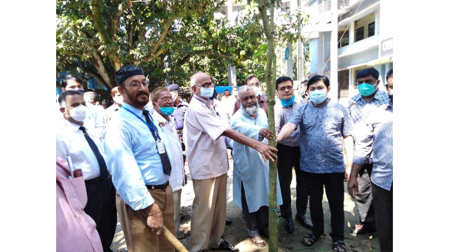 চাঁপাইনবাবগঞ্জে আদালত চত্বরে বৃক্ষরোপণ কর্মসূচির উদ্বোধন
