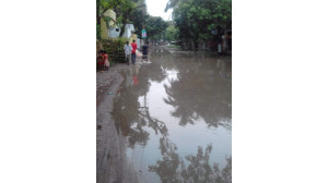 হরিপুর বাবুপাড়ায় বছরজুড়ে জলাবদ্ধতা, ড্রেন নির্মাণ ও রাস্তা সংস্কারের দাবি 