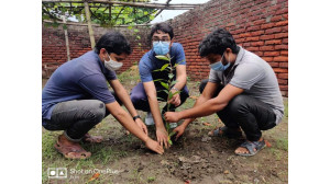 জেলা ছাত্রলীগের সাধারণ সম্পাদক ডা. সাইফ জামানের নেতৃত্বে বৃক্ষরোপন
