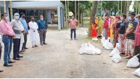 ভোলাহাটে সমবায়দপ্তরের ত্রাণ ও শিশু খাদ্য বিতরণ